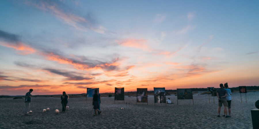 DSC06197-scaled-1200×600